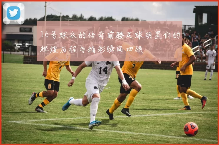 16号球衣的传奇前腰足球明星们的辉煌历程与精彩瞬间回顾